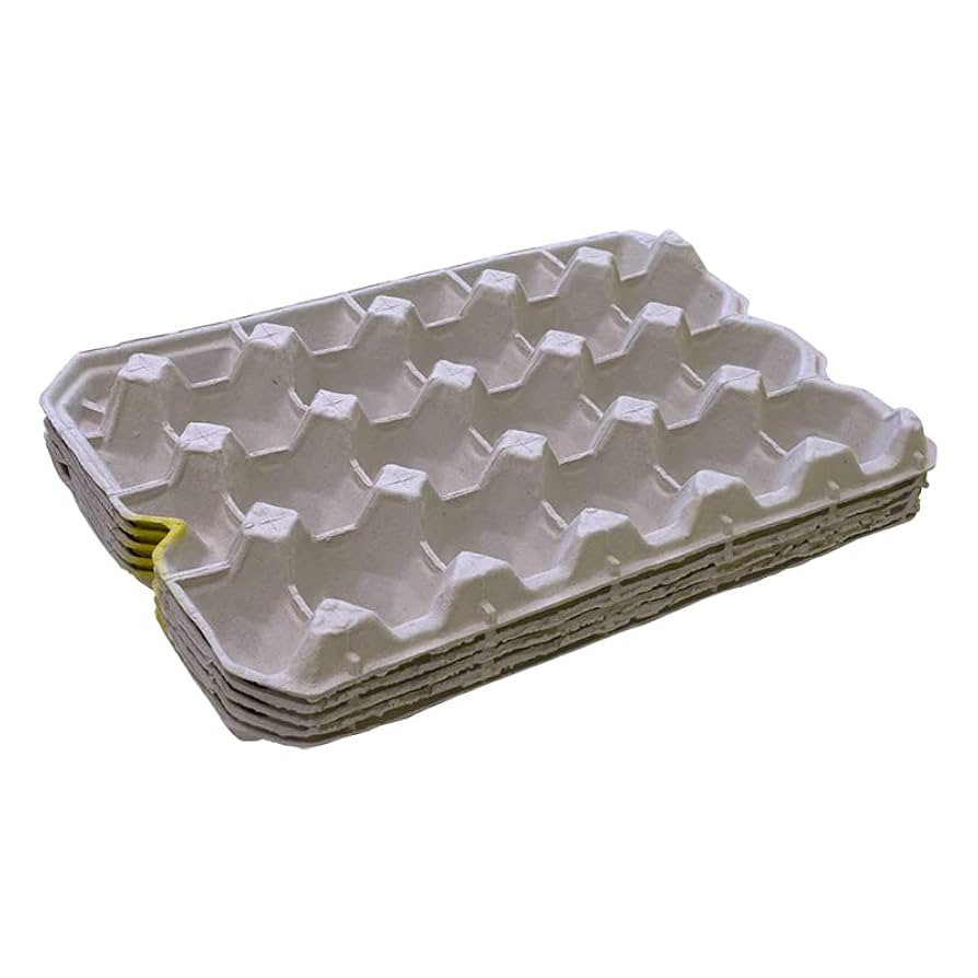 あっちゃん　コケ各種8パックとホソバゴケ1トレー Amazon | SMILE PET CLUB コオロギのお部屋 15室 5個セット